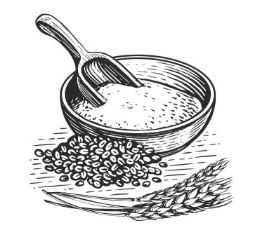 Flour in bowl, wheat grains, wooden scoop and ears of wheat. Healthy Food. Vintage illustration in sketch style clipart