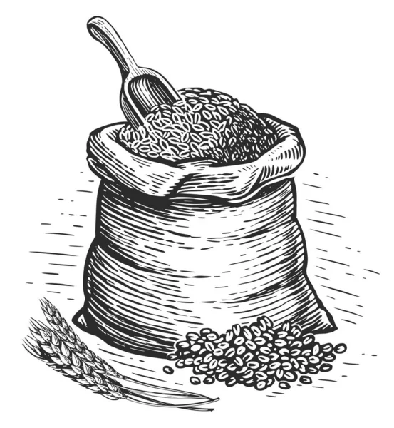 Σακούλα Γεμάτη Σπόρους Σιταριού Σκίτσο Βιολογικά Τρόφιμα Ψήσιμο Ψωμιού Έννοια — Φωτογραφία Αρχείου