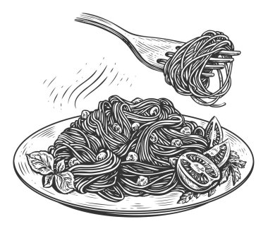 Erişte makarna, domatesli spagetti ve kasede taze fesleğen. Klasik gravürde el çizimi çizimi çizimi