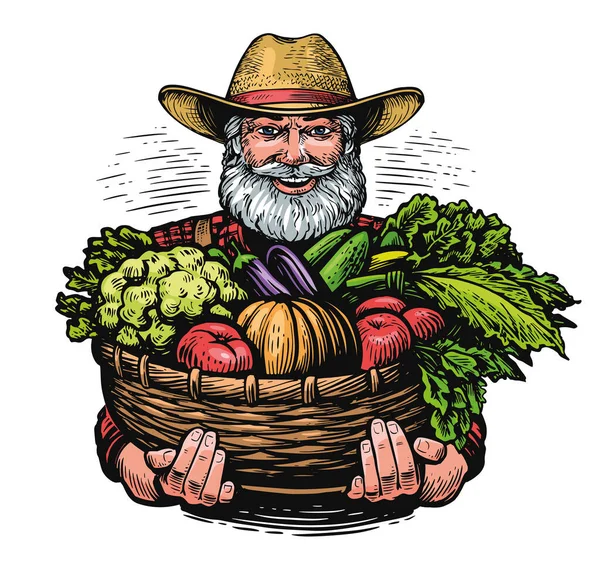 Bahçeli Sebze Sepeti Tutan Kıdemli Çiftçi Organik Tarım Gıda Vektörü — Stok Vektör