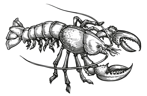 Lobster Amerika Makanan Laut Crustacea Hewan Air Dalam Gaya Ukiran - Stok Vektor