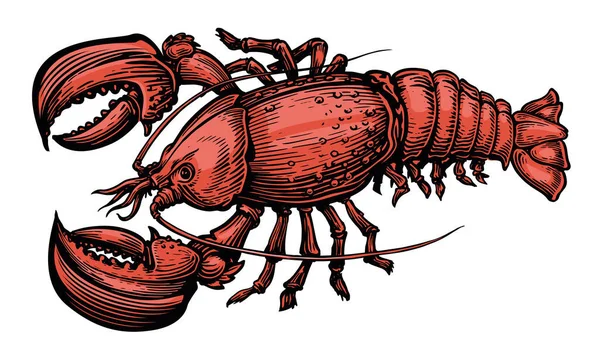赤いロブスター 魚介類 甲殻類水生動物ベクトル図 — ストックベクタ