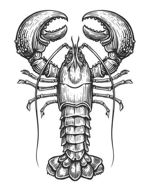 ロブスター シーフード ヴィンテージ彫刻スタイルの甲殻類の水生動物 爪で癌のスケッチイラスト — ストック写真