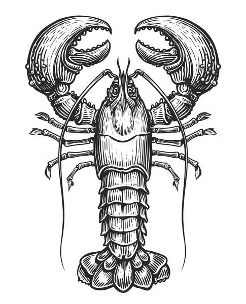 Lobster Amerika Vektor Makanan Laut Crustacea Hewan Air Dalam Gaya - Stok Vektor