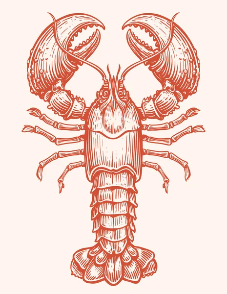 Crayfish Vektor Makanan Laut Crustacea Hewan Air Lobster Dalam Gaya - Stok Vektor