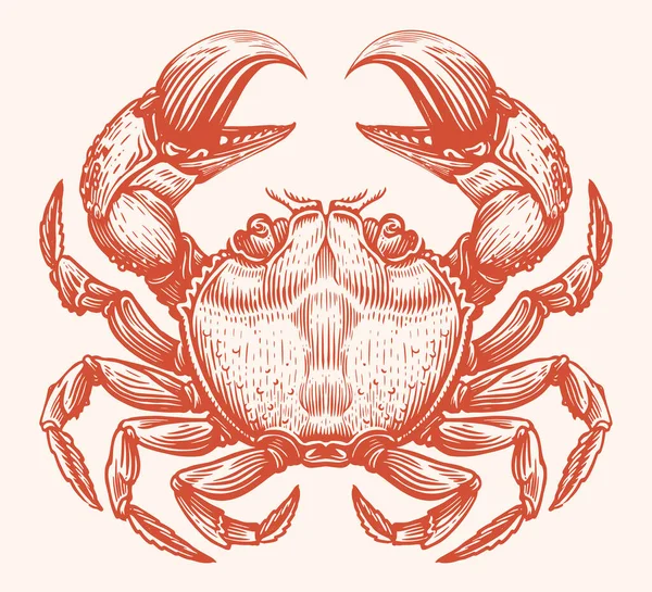 カニ魚介類ベクトル ヴィンテージ彫刻スタイルの甲殻類の水生動物 スケッチイラスト — ストックベクタ
