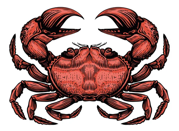 Červený Krab Izolovaný Bílém Pozadí Mořské Zvíře Vektorová Ilustrace Mořských — Stockový vektor