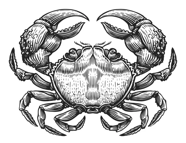 Crabe Croquis Gravure Style Vintage Pour Conception Menu Étiquette Fruits — Image vectorielle