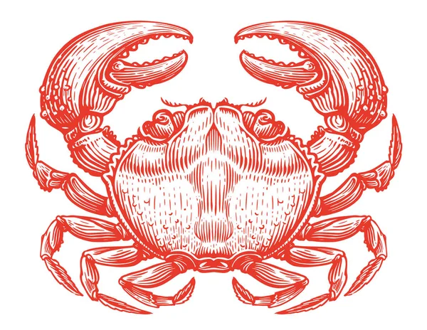 赤いカニだ ヴィンテージ彫刻スタイルの甲殻類の水生動物 魚介類 スケッチベクトルイラスト — ストックベクタ