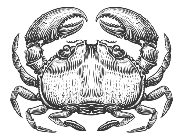 爪で全体の大きなカニ ヴィンテージ彫刻スタイルの甲殻類の水生動物 海鮮スケッチ図 — ストック写真