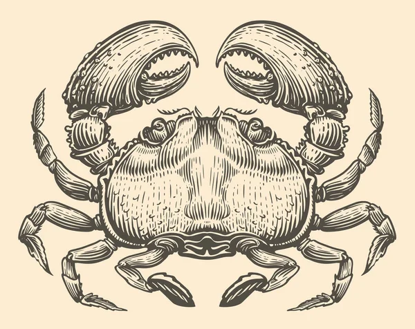 Croquis Dibujado Mano Cangrejo Estilo Grabado Ilustración Del Vector Animal — Archivo Imágenes Vectoriales