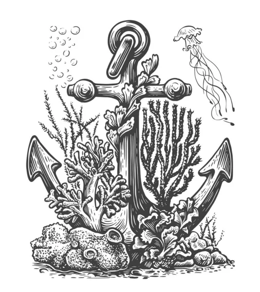Eski Geminin Çapası Mercanlar Deniz Kabukları Alglerle Kaplıdır Deniz Yatağı — Stok Vektör