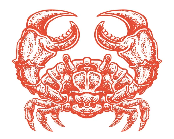 Caranguejo Vermelho Isolado Fundo Branco Marisco Ilustração Vetor Mar Animal — Vetor de Stock