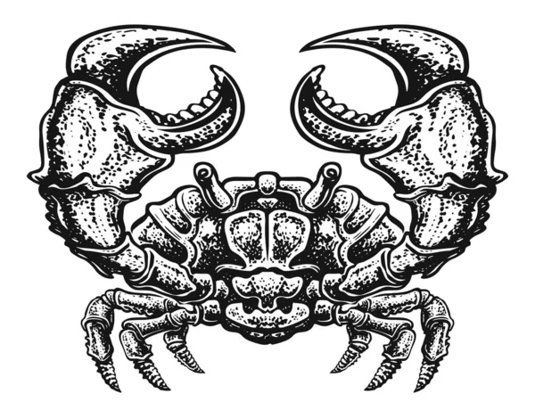 爪でカニを隔離 ヴィンテージ彫刻スタイルの甲殻類の水生動物 海鮮スケッチ図 — ストック写真