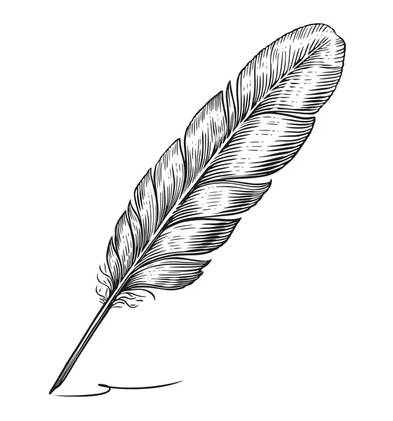 Feather Quill Dip Pen Vintage Engraving Style Hand Drawn Sketch — Stock Photo, Image