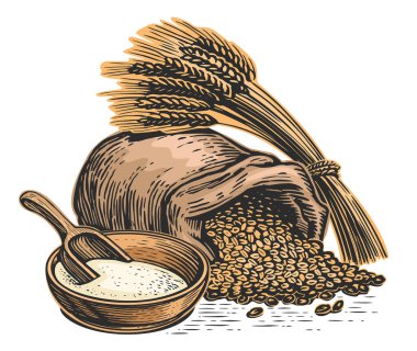 Tahıl çuvalı, buğday kulakları, bir kase un ve kepçe. Yemek pişirme, un pişirme, gıda malzemeleri. Vektör illüstrasyonu