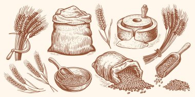 Farm wheat concept. Hand drawn bakery vector illustration set. Baking bread, food collection clipart