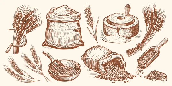 ファーム小麦の概念 手描きベーカリーベクトルイラストセット パンの焼き方 食品の収集 — ストックベクタ