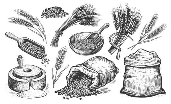 Koncept Pšenice Pečení Chleba Sbírka Jídla Ručně Kreslené Pekařské Kresby — Stock fotografie