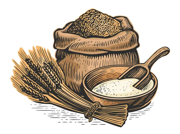 谷粒和面粉装袋 有机农业食品 矢量说明 — 图库矢量图片