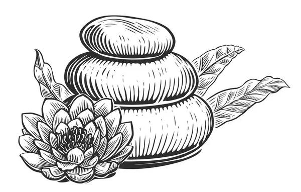 Zen Spa Βασάλτης Πέτρες Κρίνο Λουλούδι Και Φύλλα Ευκαλύπτου Μασάζ — Διανυσματικό Αρχείο