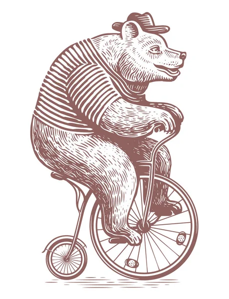 Urso Engraçado Estilo Gravação Bicicleta Retro Desempenho Circense Desenho Ilustração — Vetor de Stock