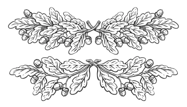 Rysunek Gałęzi Dębu Liśćmi Żołędziami Zestaw Ram Projektowania Granic Vintage — Zdjęcie stockowe