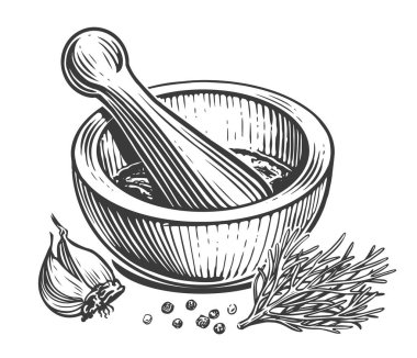 Tahta havan topu ve uyuşturucu satıcısı. Yemek için baharat pişirmek. Eskiz klasik vektör çizimi