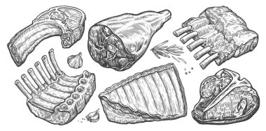 Çiğ et kesikleri. Biftek, kaburga, jambon vektör çizimi. El çizimi kabartma biçimi