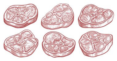 Biftek eskiz seti. Restoran menüsü, kasap dükkanı, market. Et, ızgara yemek vektörü İllüstrasyon