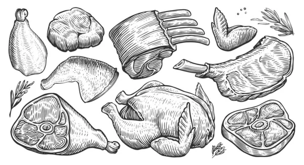 Mięso Gotowe Ręcznie Rysowana Ilustracja Sklepu Mięsnego Lub Menu Restauracji — Zdjęcie stockowe