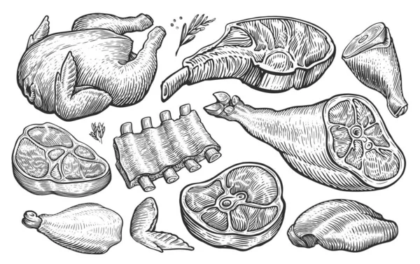 Коллекция Мяса Ручная Иллюстрация Мясной Лавки Меню Ресторана Скетч Гравировка — стоковое фото