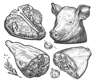 Et kesikleri. Biftek, jambon, pastırma, domuz kafası. Çiftlik yiyecekleri konsepti. El çizimi çizimi vektör illüstrasyonu