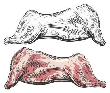 Tam bir çiğ et leşi. Vektör illüstrasyon gravür biçimi