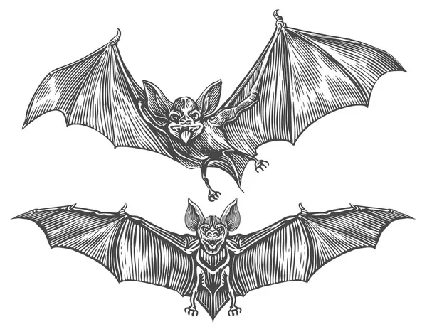 Vliegende Vampiervleermuis Vintage Schets Vector Illustratie Design Elementen Voor Halloween — Stockvector