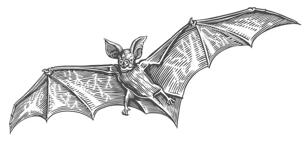 Vliegende Vampiervleermuis Vintage Schets Vector Illustratie Voor Halloween Vakantie Decoratie — Stockvector