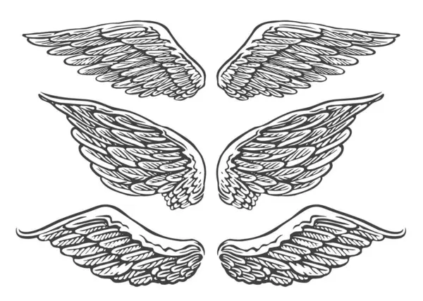 Set Von Handgezeichneten Engelspaaren Oder Vogelflügeln Unterschiedlicher Form Offener Position — Stockvektor