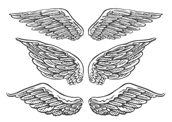 Set of hand drawn pairs of angel or bird wings of different shapes in open position. Vintage vector illustration