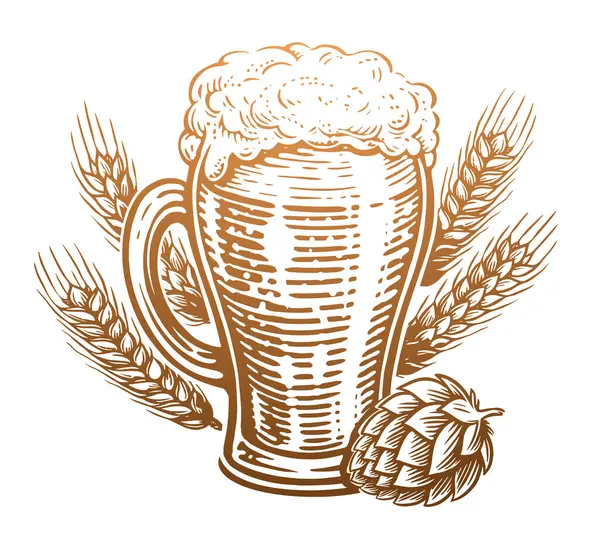 ホップおよび小麦が溢れるビール ガラス スケッチヴィンテージベクターイラスト — ストックベクタ