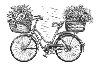 Sepetlerinde çiçekler olan bir bisiklet. Çiçekli bisiklet. El çizimi klasik taslak çizimi