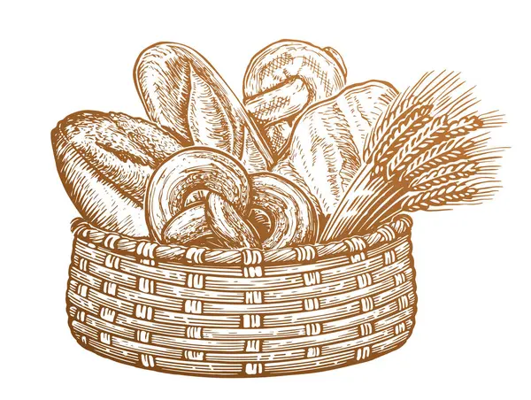 Various Kinds Breads Ears Wheat Basket Fresh Baked Goods Sketch — Stock Vector