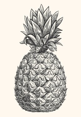 El yapımı ananas. Tropik yaz meyvesi oymalı stil vektör çizimi