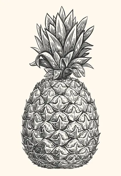 Yapımı Ananas Tropik Yaz Meyvesi Oymalı Stil Vektör Çizimi — Stok Vektör