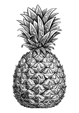 Ananas çizimi. Klasik oymacılık tarzında tropik yaz meyvesi, el çizimi illüstrasyon