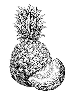 Ananas ve parça. Tropik yaz meyveleri, skeç. El çizimi vektör illüstrasyonu