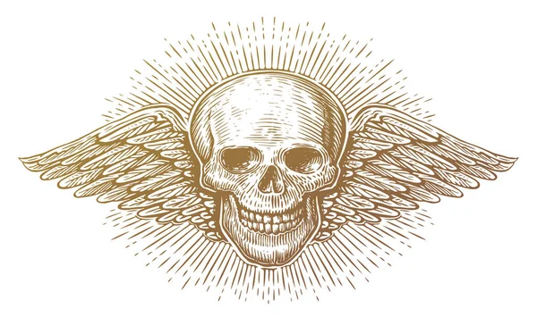 Wings Skull Winged Skeleton Old Engraving Style Hand Drawn Vintage — Stock Vector
