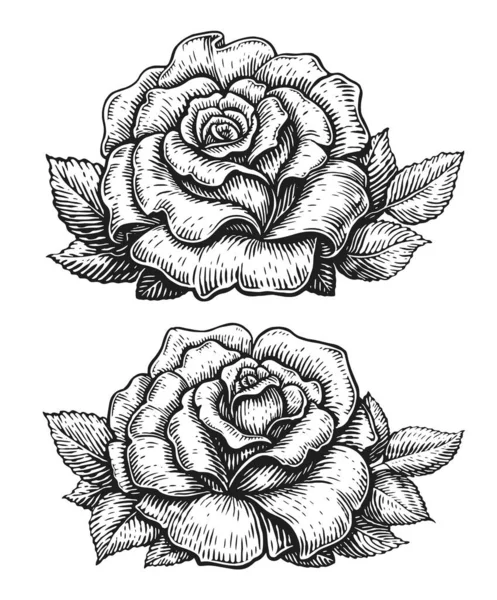 Rose bud with leaves. Hand drawn flower in vintage engraving style. Floral pattern