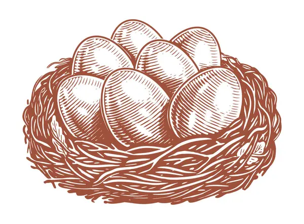Яйця Гнізді Рука Намальована Ескіз Старовинна Векторні Ілюстрації — стоковий вектор