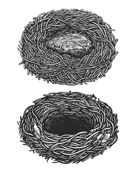 Prázdné Ptačí Hnízdo Ručně Kreslený Náčrt Vinobraní Vektorové Ilustrace — Stockový vektor