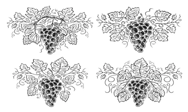 Szőlőág Levelekkel Bogyókkal Dekorációk Szőlővel Szőlővel Kézzel Rajzolt Vázlat Fekete — Stock Vector